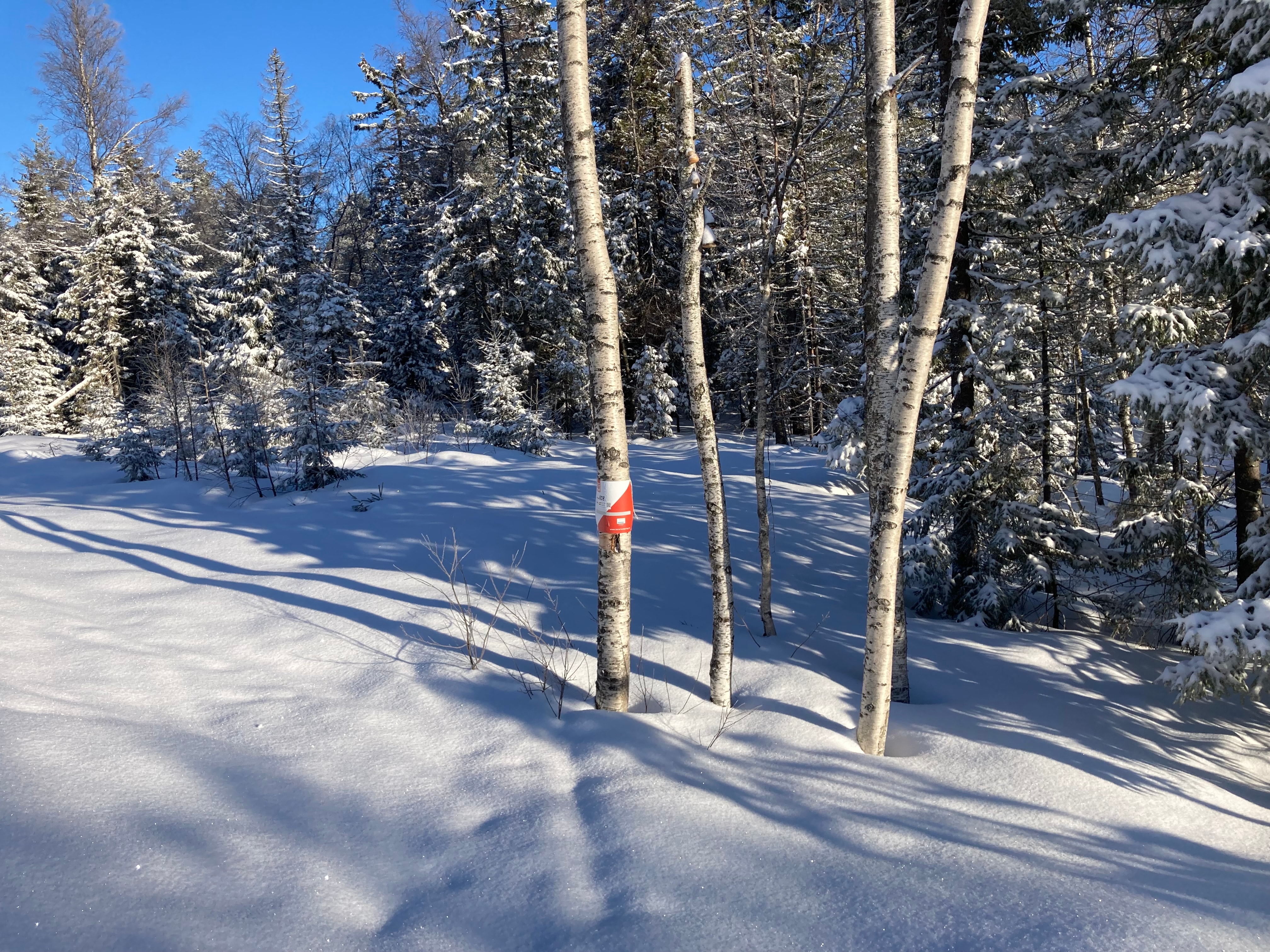 Bilder i fra Vestskauen/Nyseterrunden
